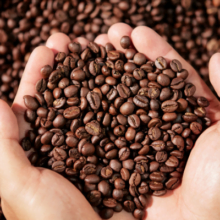 7 Steps for World Class Gourmet Coffee