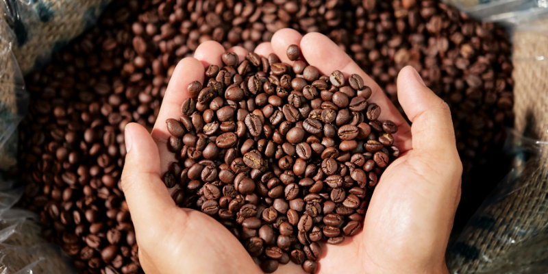 7 Steps for World Class Gourmet Coffee