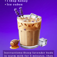 Lavender honey iced coffee recipe